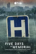 Пять дней после катастрофы (1 сезон) все серии