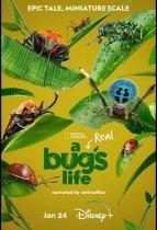 Настоящая жизнь жука (1 сезон) все серии