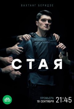 Стая